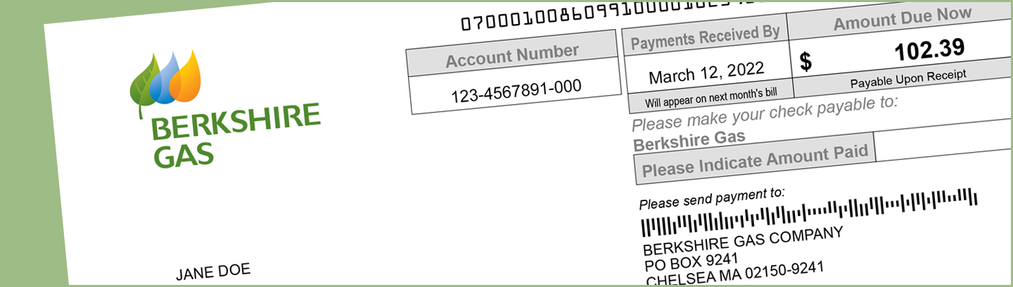 Image of a partial sample bill